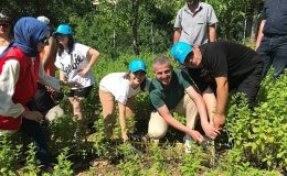 Özel çocuklarımız sebze ve aromatik bitki yetiştiriyor