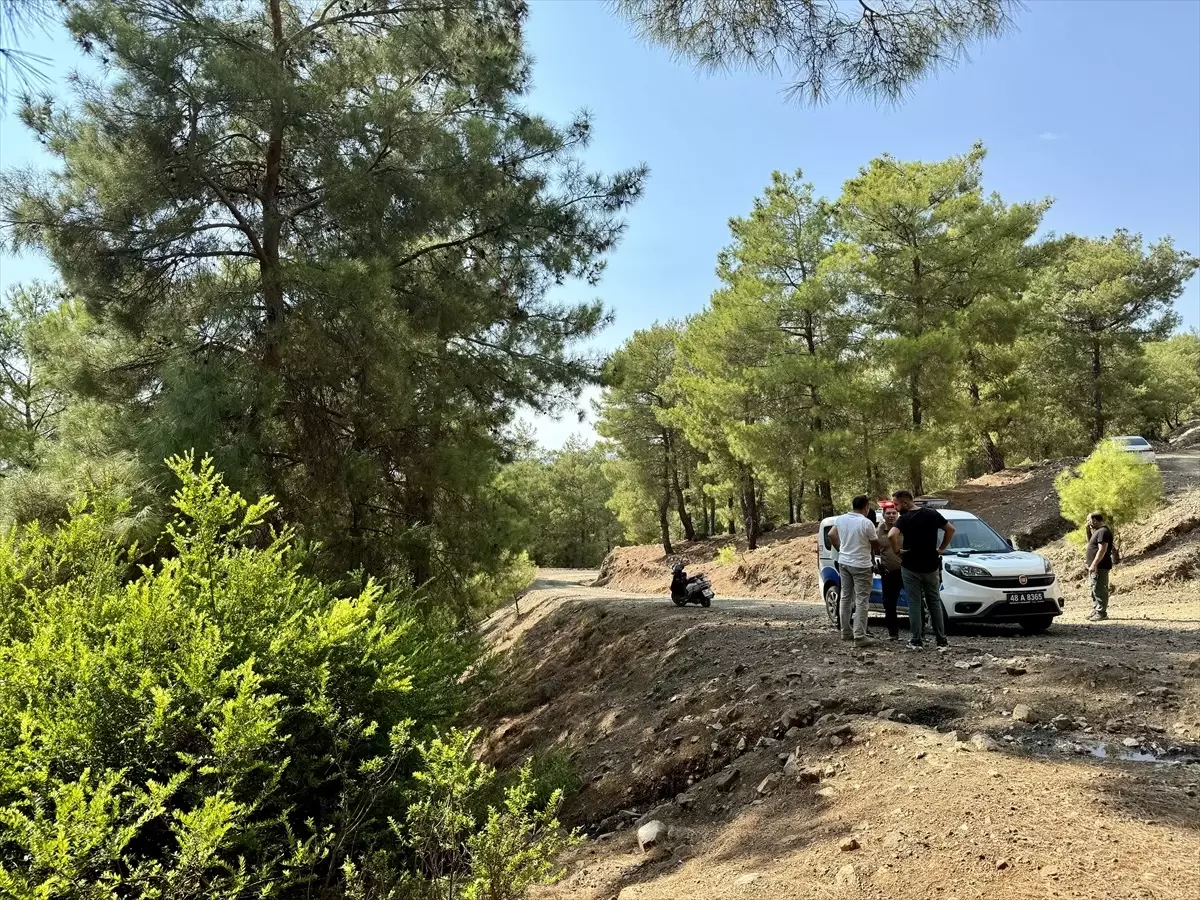 Ormanlık arazide yeni doğan bebek bulundu!