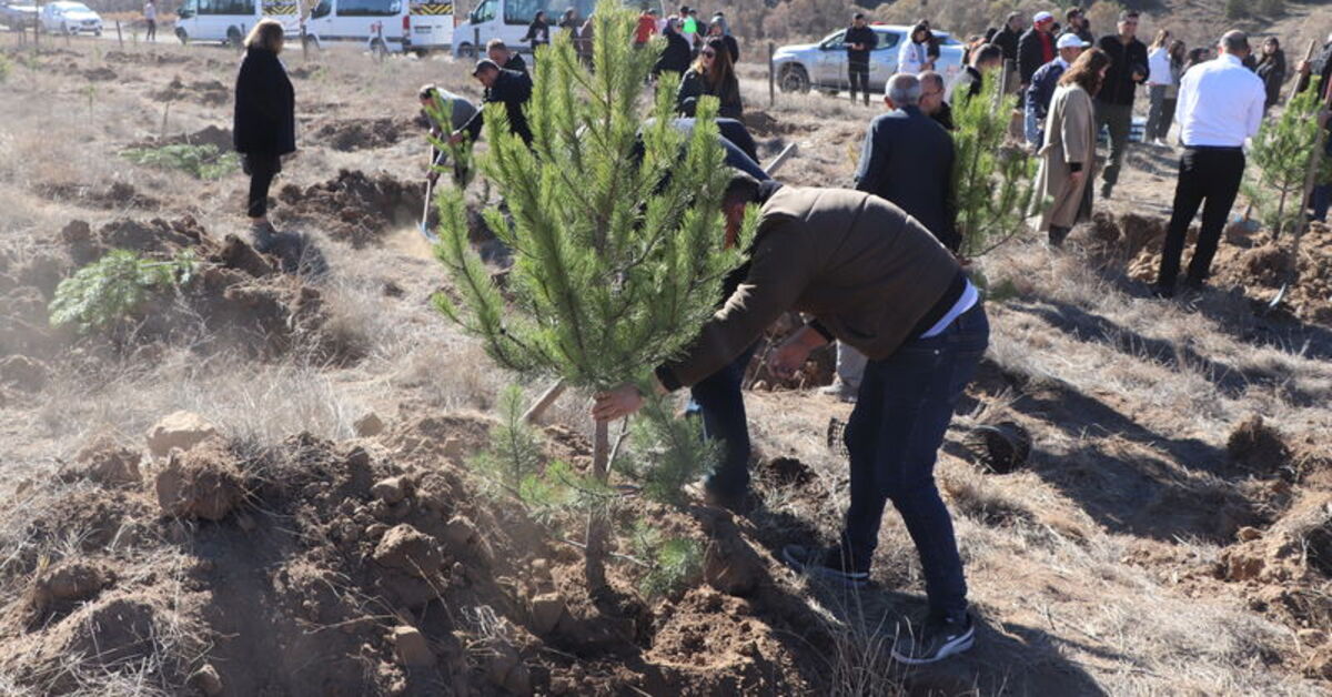 Şarkışla’da 2 bin fidan toprakla buluşturuldu